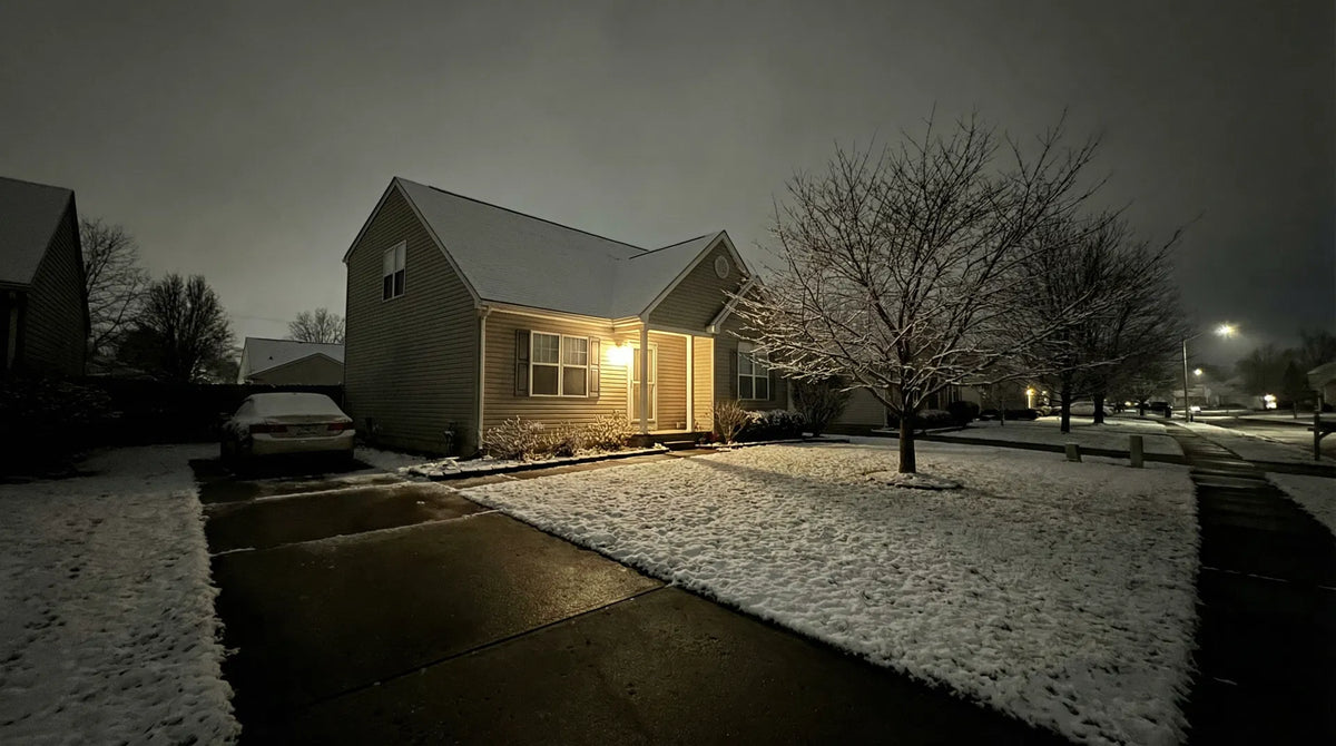 Before - plain yard
